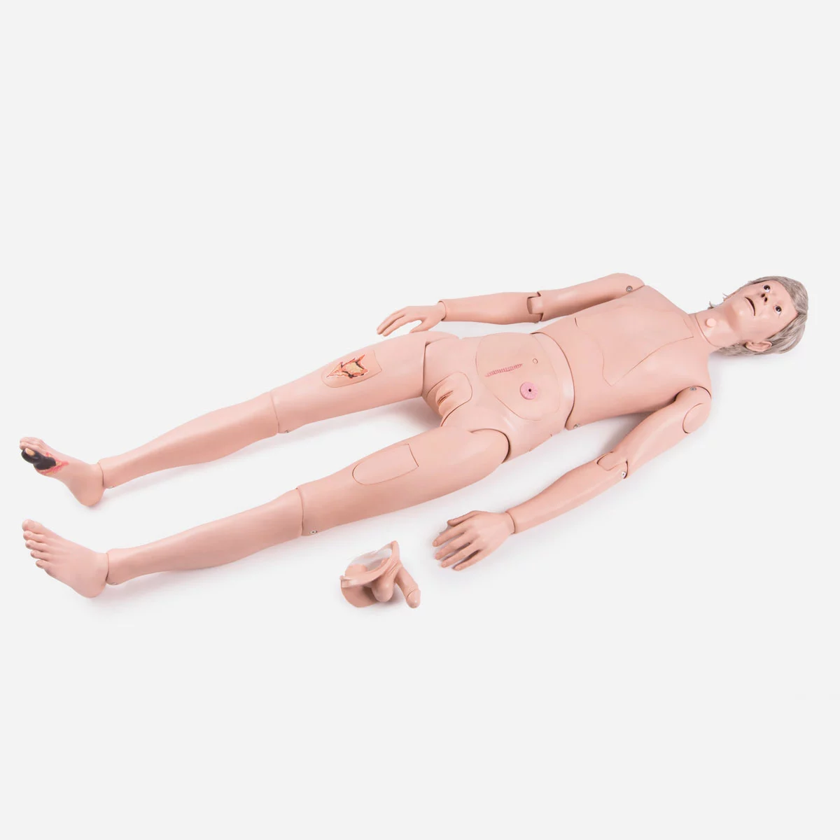 3B Scientific Patient Care Manikin Basic - Vishalsurgical.co.in