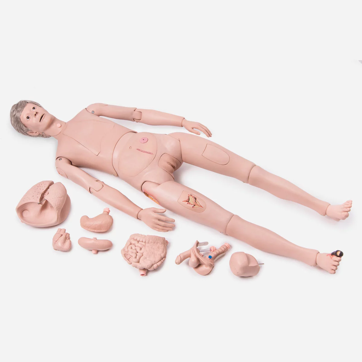 3B Scientific Patient Care Manikin PRO- Vishalsurgical.co.in