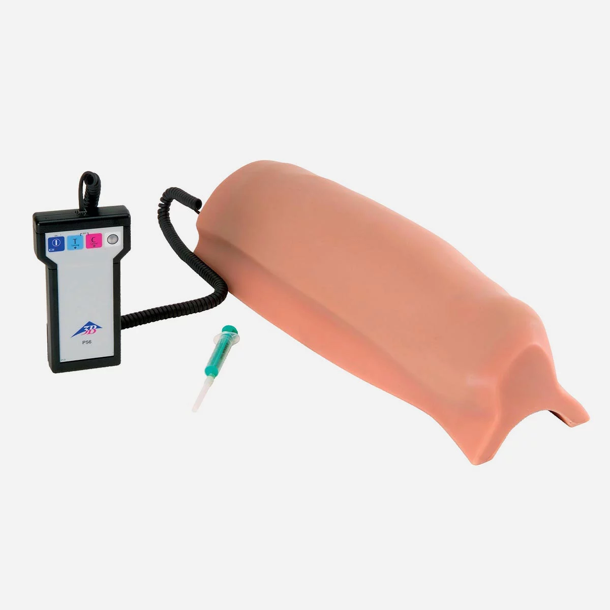 Intramuscular Injection Simulator – Upper Leg - Vishalsurgical.co.in